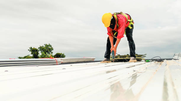 Best Gutter Installation and Repair  in St Peter, WI