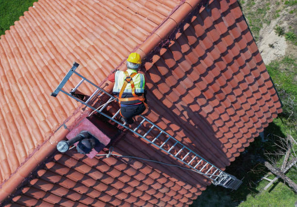 Best Asphalt Shingle Roofing  in St Peter, WI