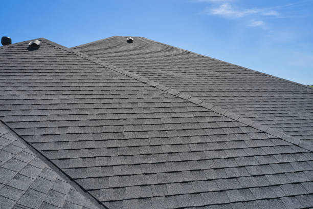 Best Solar Panel Roofing Installation  in St Peter, WI